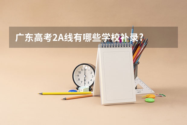 广东高考2A线有哪些学校补录?