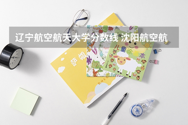 辽宁航空航天大学分数线 沈阳航空航天大学录取分数线