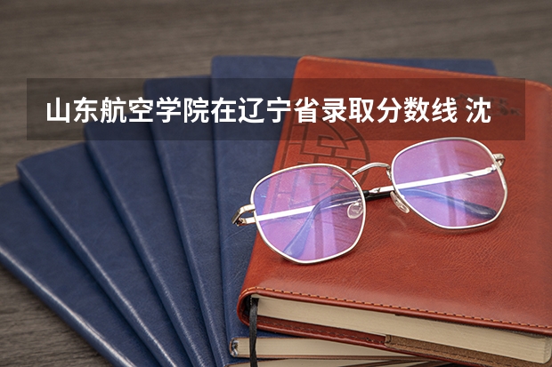 山东航空学院在辽宁省录取分数线 沈阳航空航天大学分数线