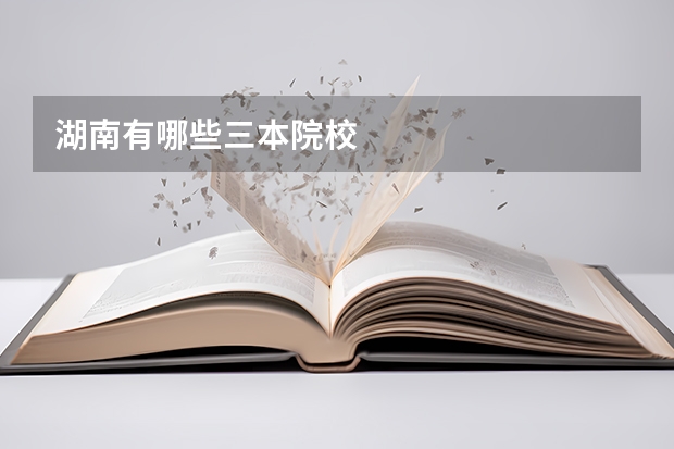 湖南有哪些三本院校