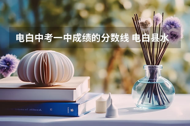 电白中考一中成绩的分数线 电白县水东镇电海小升初分数线