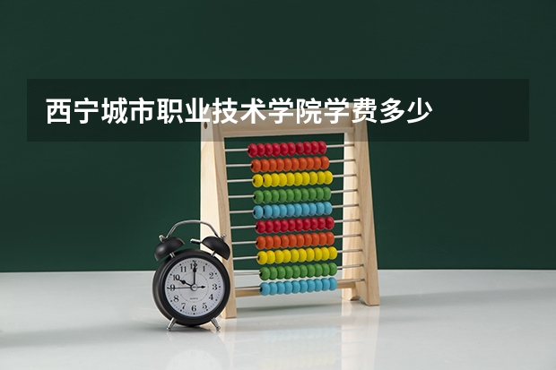 西宁城市职业技术学院学费多少