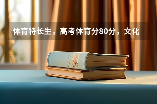 体育特长生,高考体育分80分,文化课300分,能上什么样的大学?