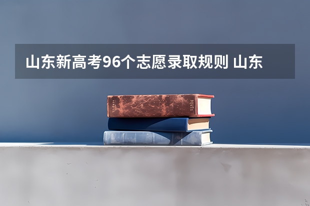 山东新高考96个志愿录取规则 山东96个平行志愿录取规则 山东高考生志愿填报指南