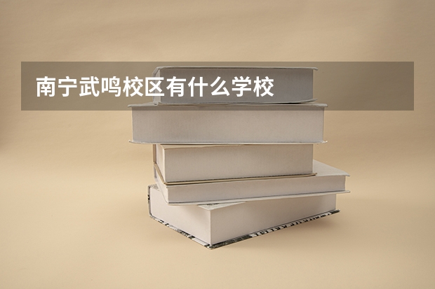 南宁武鸣校区有什么学校