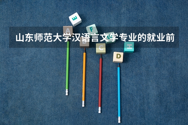 山东师范大学汉语言文学专业的就业前景如何？