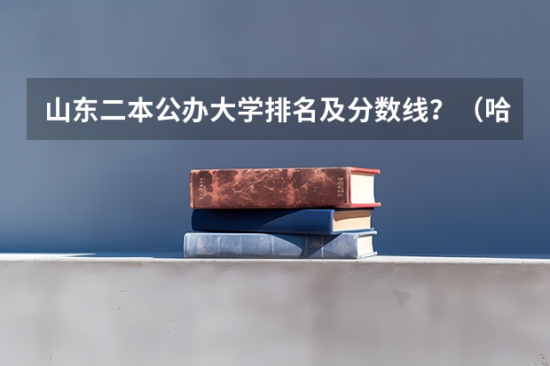 山东二本公办大学排名及分数线？（哈尔滨公办二本大学排名及分数线）