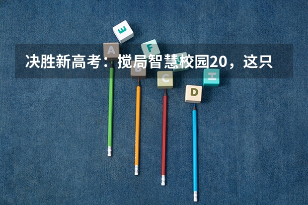 决胜新高考：搅局智慧校园2.0，这只「晓羊」凭什么