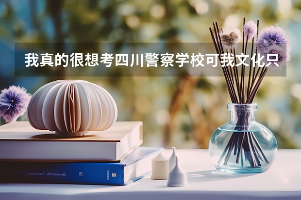 我真的很想考四川警察学校可我文化只有300左右我是体育生国家二级运动员！该怎么办啊？