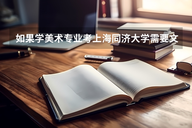 如果学美术专业考上海同济大学需要文化分是多少？学美术专业的能上什么样的大学？有什么出路？