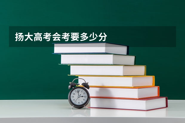扬大高考会考要多少分