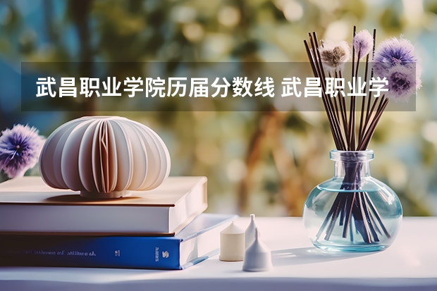 武昌职业学院历届分数线 武昌职业学院录取分数线