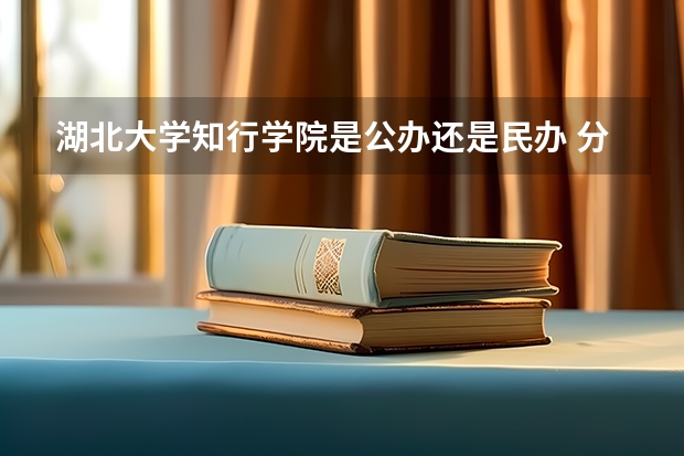 湖北大学知行学院是公办还是民办 分数线不够上普高但是想参加高考？