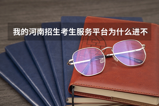 我的河南招生考生服务平台为什么进不去呢?