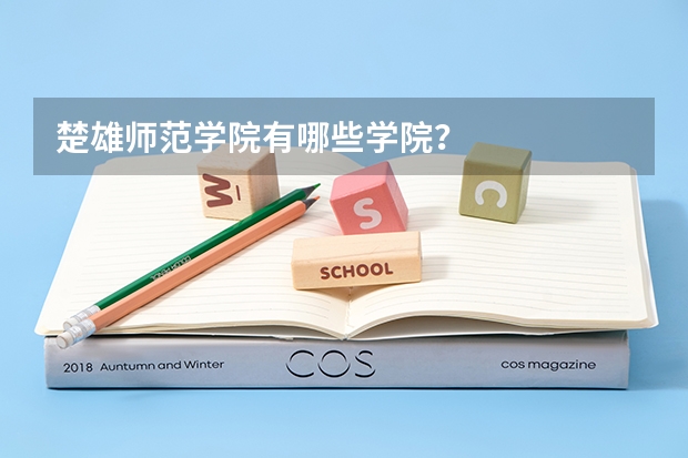 楚雄师范学院有哪些学院？