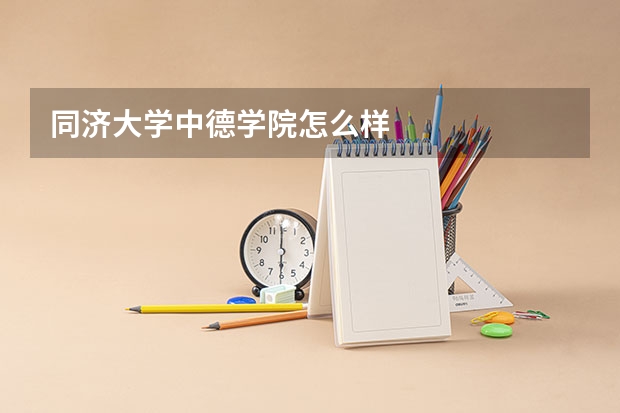 同济大学中德学院怎么样