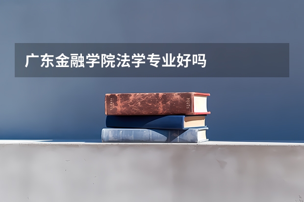 广东金融学院法学专业好吗