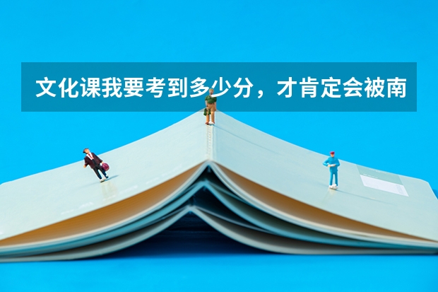 文化课我要考到多少分，才肯定会被南京艺术学院录取呢？