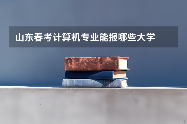 山东春考计算机专业能报哪些大学