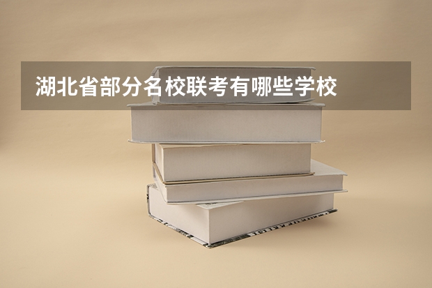 湖北省部分名校联考有哪些学校