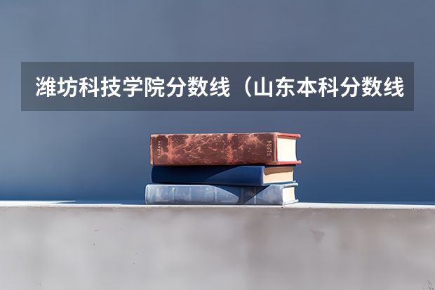 潍坊科技学院分数线（山东本科分数线）