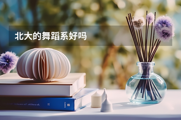 北大的舞蹈系好吗