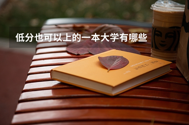 低分也可以上的一本大学有哪些