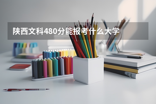 陕西文科480分能报考什么大学