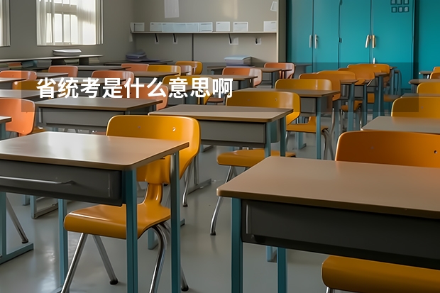 省统考是什么意思啊