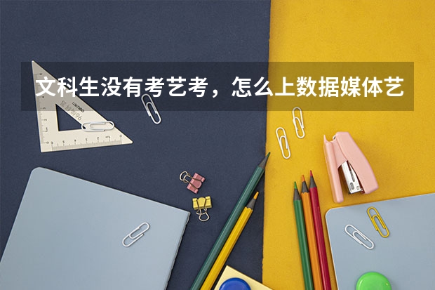 文科生没有考艺考，怎么上数据媒体艺术专业