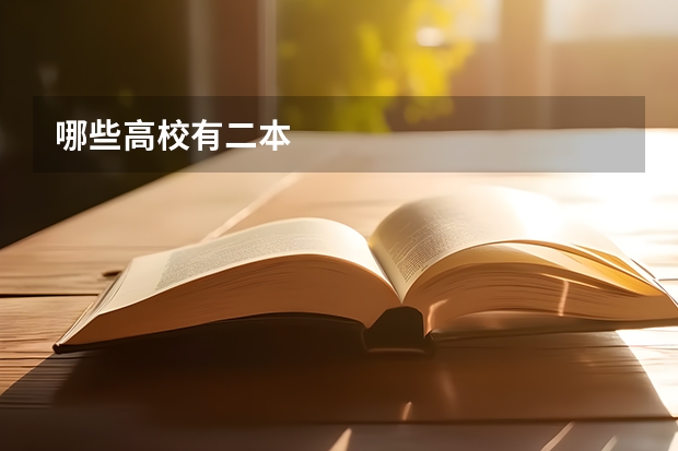 哪些高校有二本
