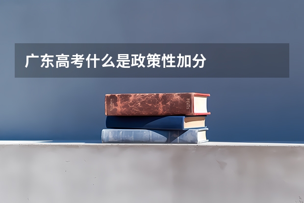 广东高考什么是政策性加分