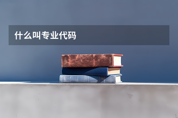 什么叫专业代码
