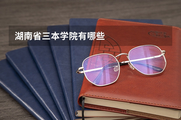 湖南省三本学院有哪些