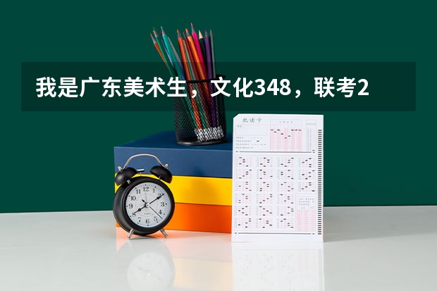 我是广东美术生，文化348，联考226~可以报什么大学