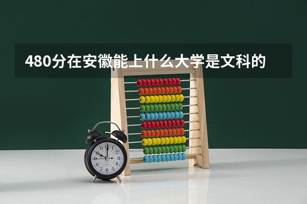 480分在安徽能上什么大学是文科的