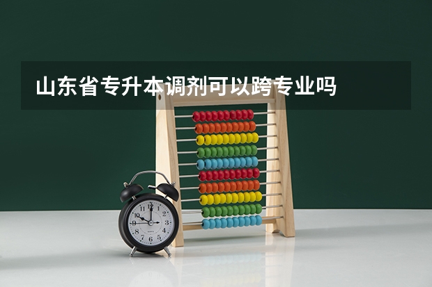 山东省专升本调剂可以跨专业吗