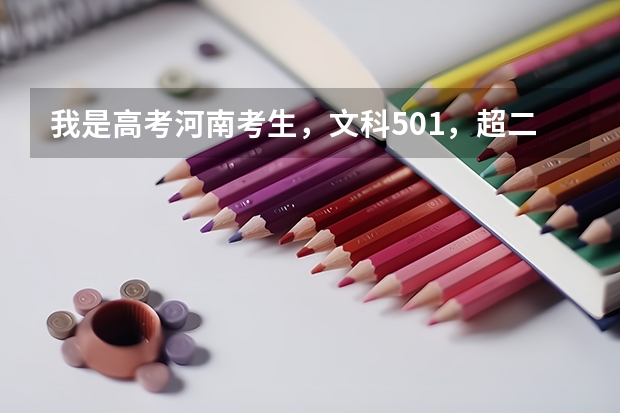 我是高考河南考生，文科501，超二本线12分，想报考护理专业，上哪些学校希望比较大？