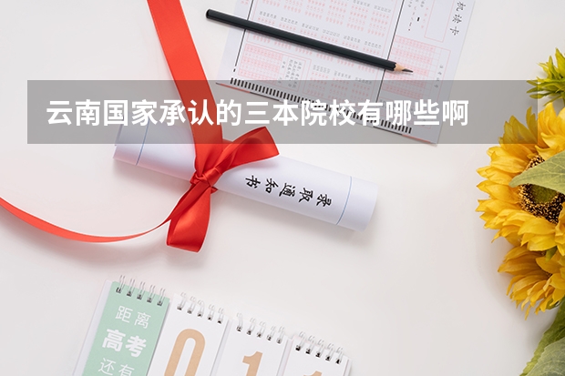 云南国家承认的三本院校有哪些啊