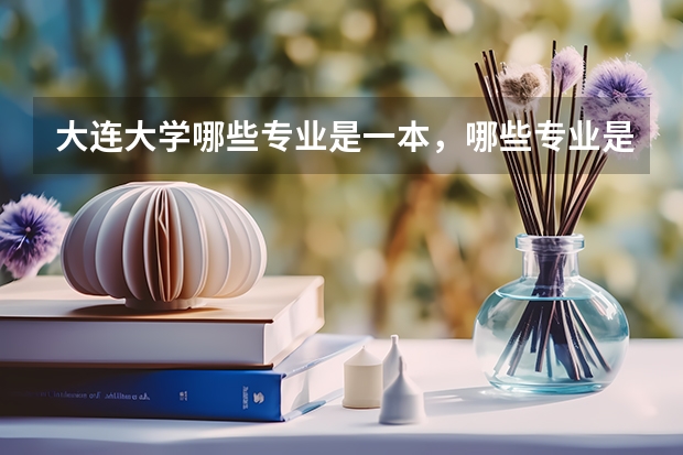 大连大学哪些专业是一本，哪些专业是二本，艺术设计（新媒体）的师资