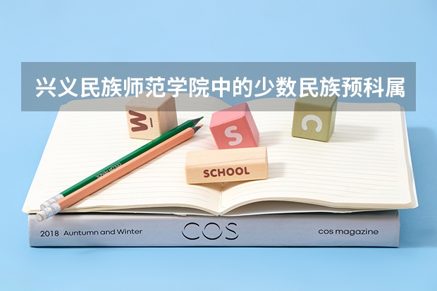 兴义民族师范学院中的少数民族预科属于什么院系