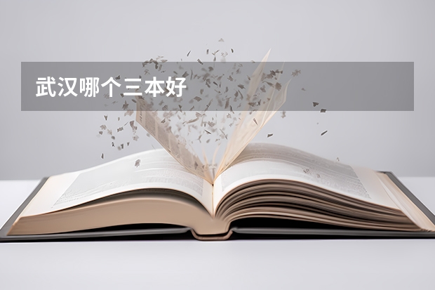 武汉哪个三本好