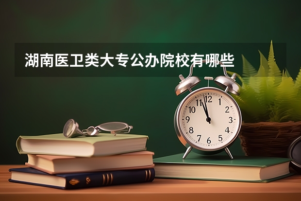 湖南医卫类大专公办院校有哪些