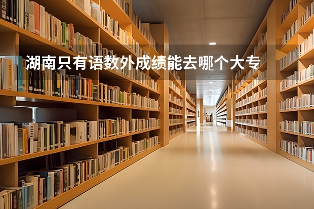 湖南只有语数外成绩能去哪个大专