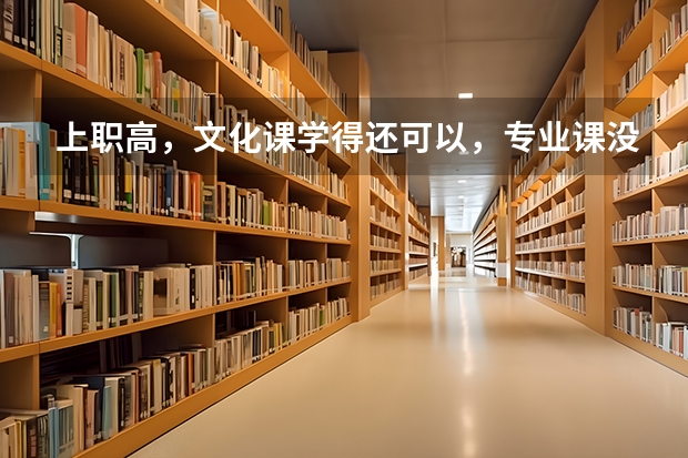 上职高，文化课学得还可以，专业课没学好怎么办