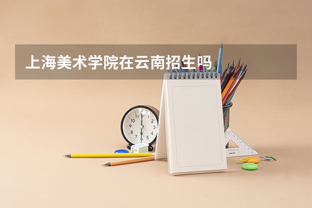 上海美术学院在云南招生吗