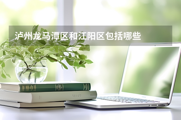 泸州龙马潭区和江阳区包括哪些