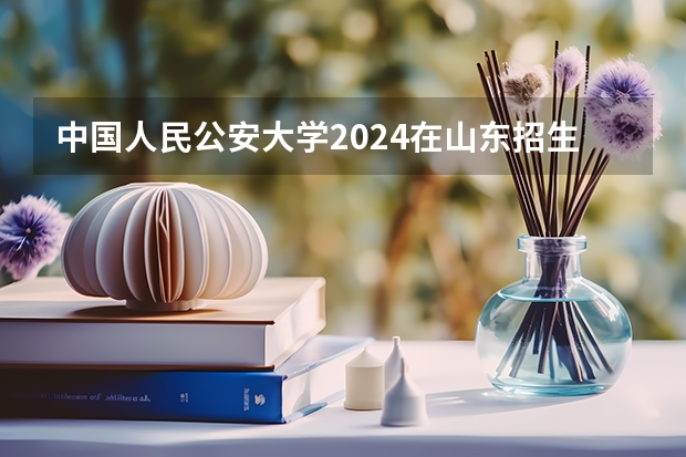 中国人民公安大学2024在山东招生计划是什么