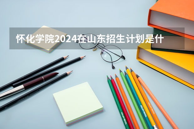 怀化学院2024在山东招生计划是什么