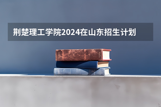 荆楚理工学院2024在山东招生计划是什么
